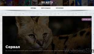 101kote.ru Screenshot