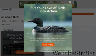 allaboutbirds.org Screenshot