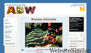 animaldiversity.org Screenshot