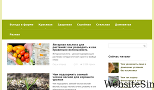 anisima.ru Screenshot