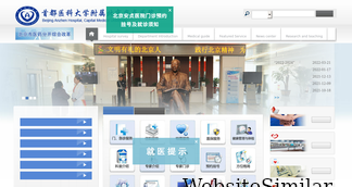 anzhen.org Screenshot