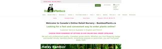 bambooplants.ca Screenshot
