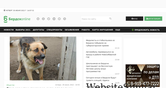 berdsk-online.ru Screenshot
