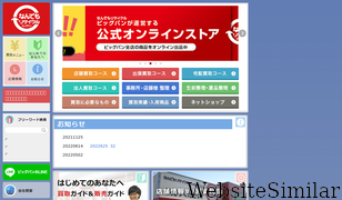 bigban.jp Screenshot