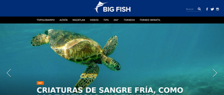 bigfish.mx Screenshot