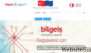bilgeis.net Screenshot