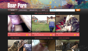 boarporn.com Screenshot