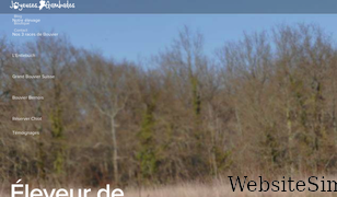 bouvier-suisse.com Screenshot