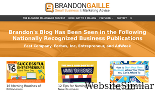 brandongaille.com Screenshot