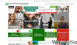 bsnaklo.pl Screenshot