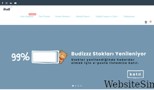 budizzz.com Screenshot