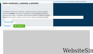 buildex.cz Screenshot