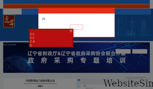 ccgp-liaoning.gov.cn Screenshot