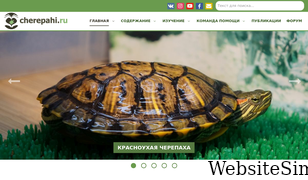cherepahi.ru Screenshot