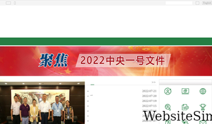 chinagrains.org.cn Screenshot
