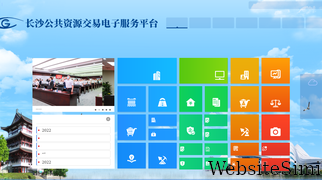 csggzy.cn Screenshot
