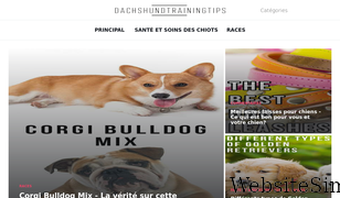 dachshundtrainingtips.com Screenshot
