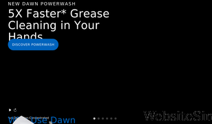 dawn-dish.com Screenshot