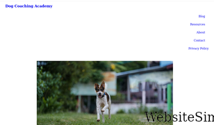 dogcoachingacademy.com Screenshot
