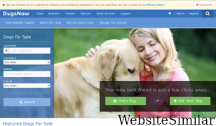 dogsnow.com Screenshot