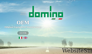 domino-group.com Screenshot