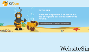 entmip.fr Screenshot
