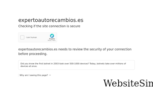 expertoautorecambios.es Screenshot