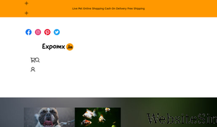 expomx.in Screenshot