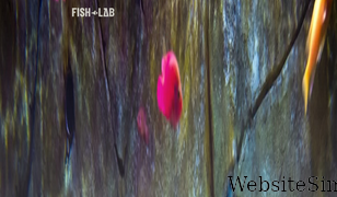 fishlab.com Screenshot