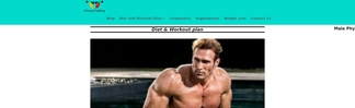 fitnesstipblog.com Screenshot