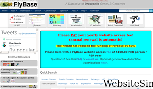 flybase.org Screenshot