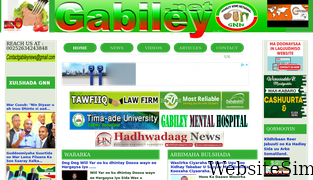gabiley.net Screenshot