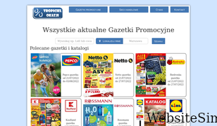 gazetki-promocyjne.net.pl Screenshot
