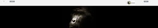gorillafund.org Screenshot