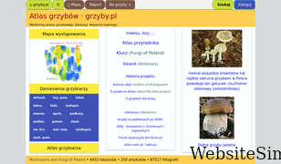 grzyby.pl Screenshot