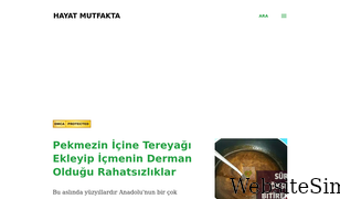 hayatmutfakta.com Screenshot