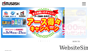 hc-musashi.jp Screenshot