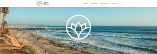 healthyliferecovery.com Screenshot