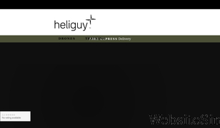 heliguy.com Screenshot