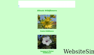 illinoiswildflowers.info Screenshot