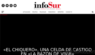 infosurdiario.com.ar Screenshot