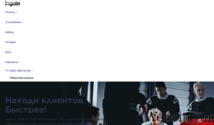 ingate.ru Screenshot