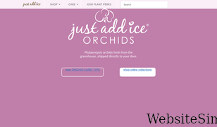 justaddiceorchids.com Screenshot