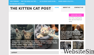 kittencatpost.com Screenshot