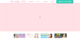 koi-hada.jp Screenshot