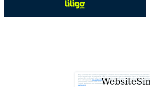 liligo.fr Screenshot