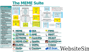 meme-suite.org Screenshot