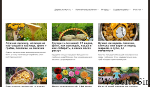 mrdachnik.com Screenshot