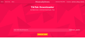 musicaldown.com Screenshot