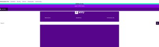 nyu.edu Screenshot